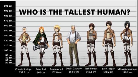 daz aot|aot character height chart.